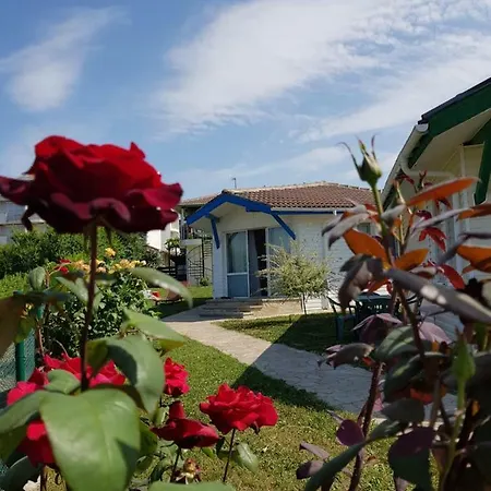 Veneta Holiday home Sinemoretz